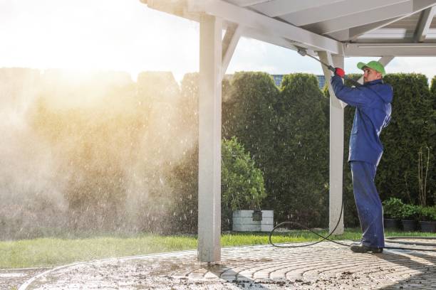 Best Soft Washing  in Bulverde, TX